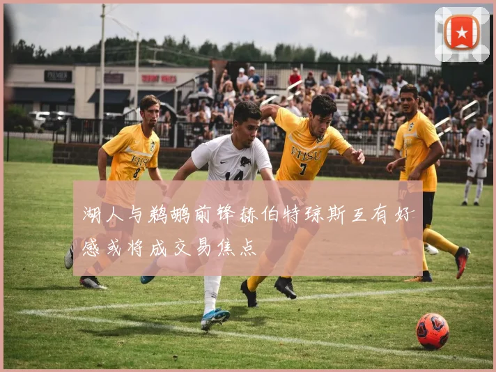 湖人与鹈鹕前锋赫伯特琼斯互有好感或将成交易焦点